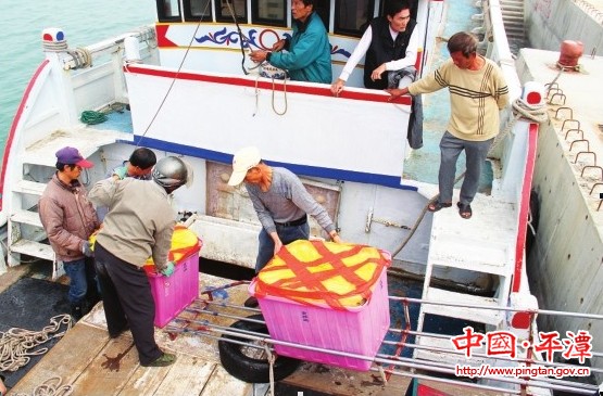 Small trade with Taiwan resumes at Pingtan port