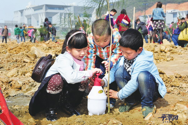 Thousands of trees planted in Pingtan