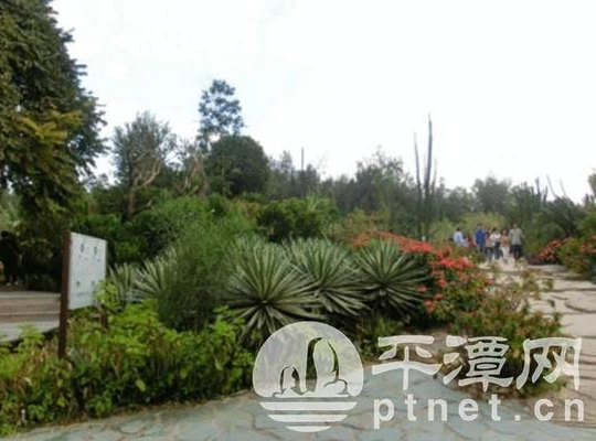Pingtan's Yujing Park to be put into use by year-end